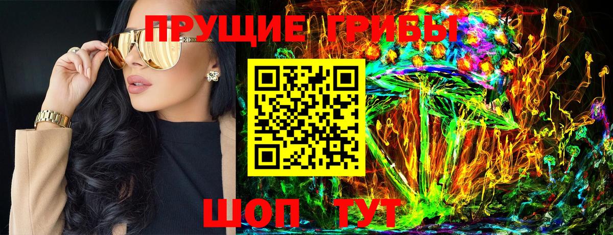 Псилоцибиновые грибы мицелий Тобольск