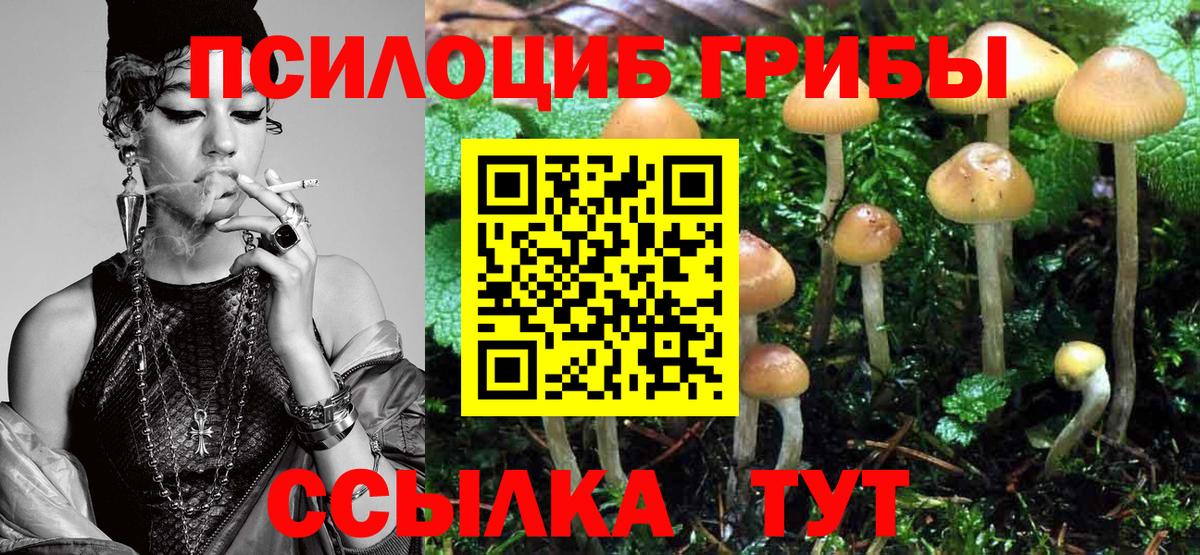 Псилоцибиновые грибы Psilocybine cubensis  Псилоцибиновые грибы Cubensis  Тобольск  Вход с VPN 